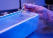 Cold Chain in the Heat Protecting Temperature-Sensitive Specimens During Summer Transport