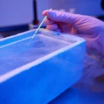 Cold Chain in the Heat Protecting Temperature-Sensitive Specimens During Summer Transport