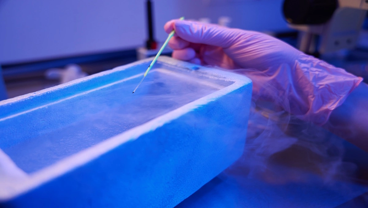 Cold Chain in the Heat Protecting Temperature-Sensitive Specimens During Summer Transport